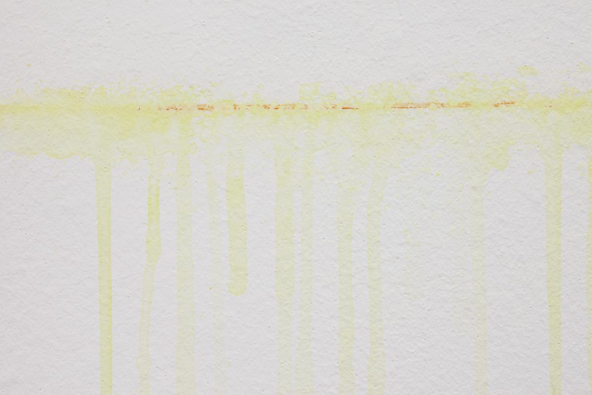 <I>Le rappel des oiseaux</i>, 2011
</br> installation view, GAMec, Bergamo