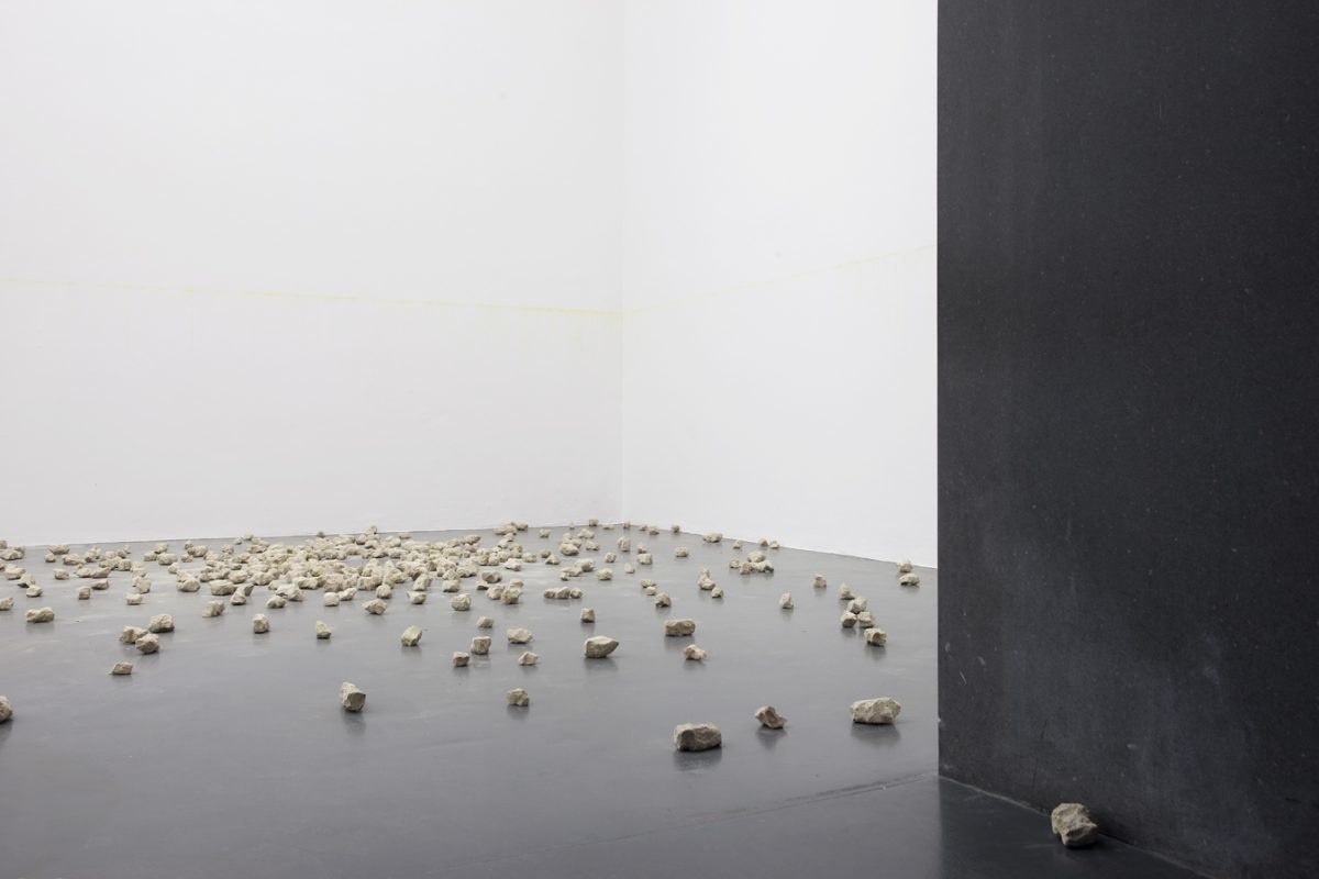 <I>Le rappel des oiseaux</i>, 2011
</br> installation view, GAMec, Bergamo