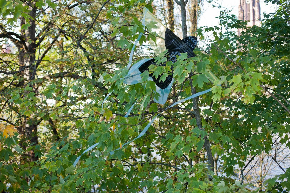<I>die vögel</i>, 2012
</br> installation view, portikus, Frankfurt