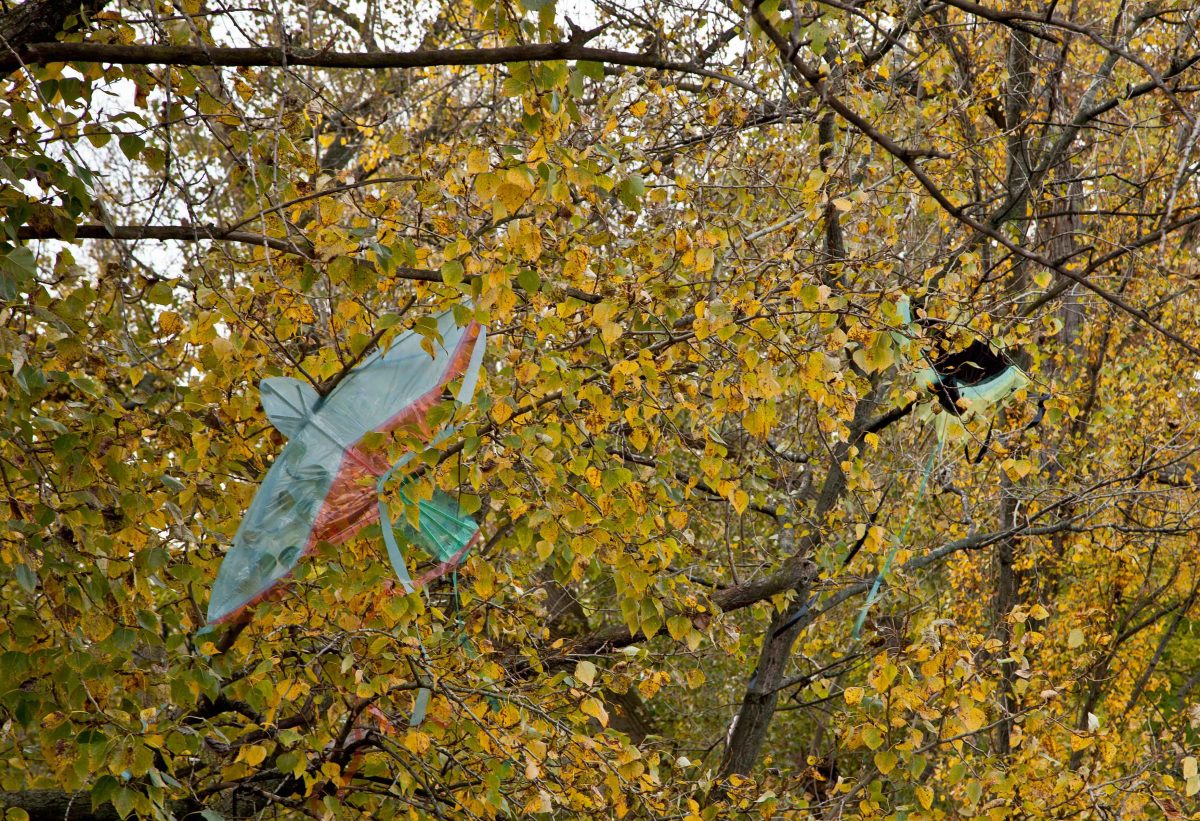 <I>die vögel</i>, 2012
</br> installation view, portikus, Frankfurt