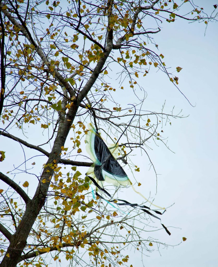 <I>die vögel</i>, 2012
</br> installation view, portikus, Frankfurt