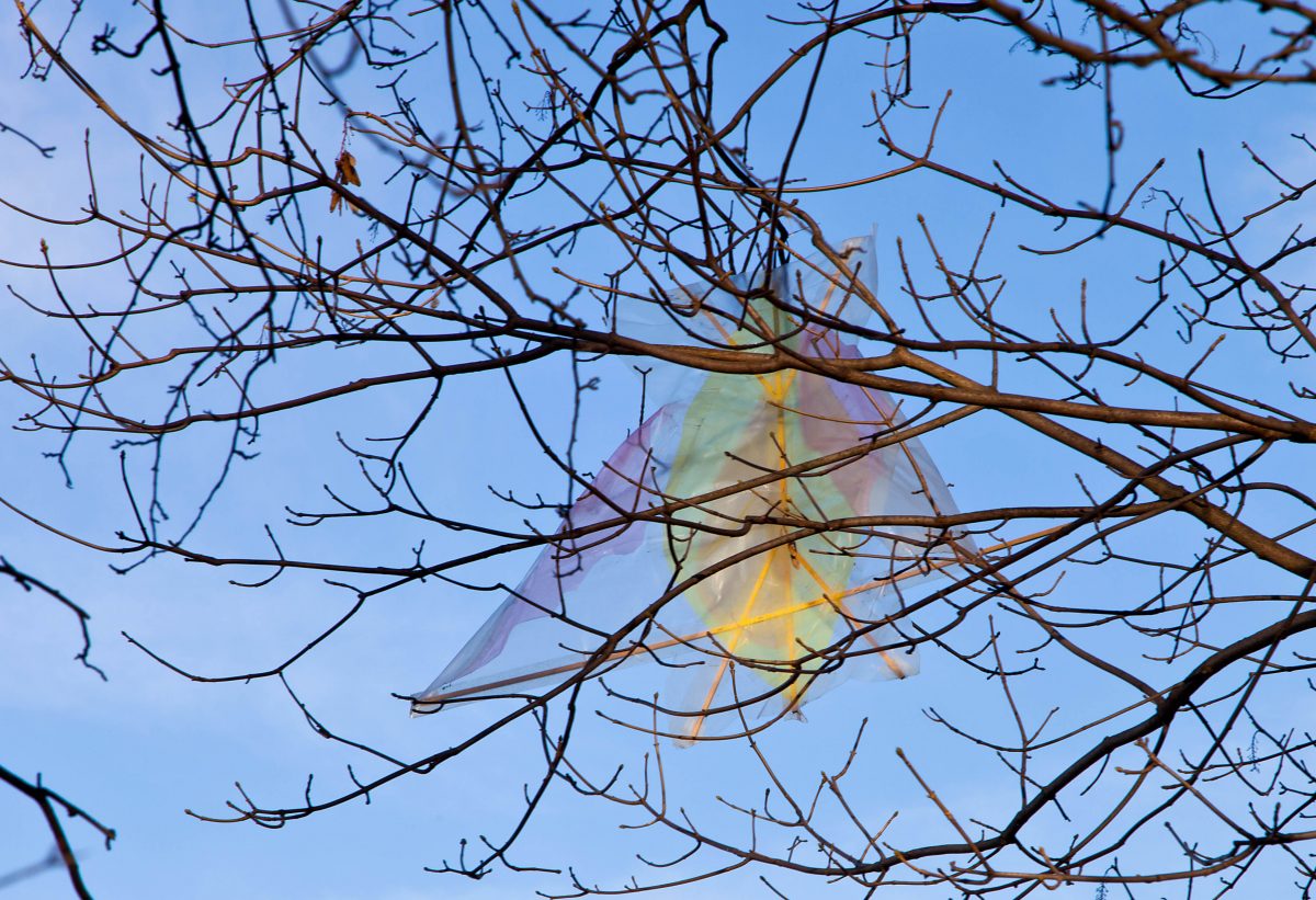 <I>die vögel</i>, 2012
</br> installation view, portikus, Frankfurt