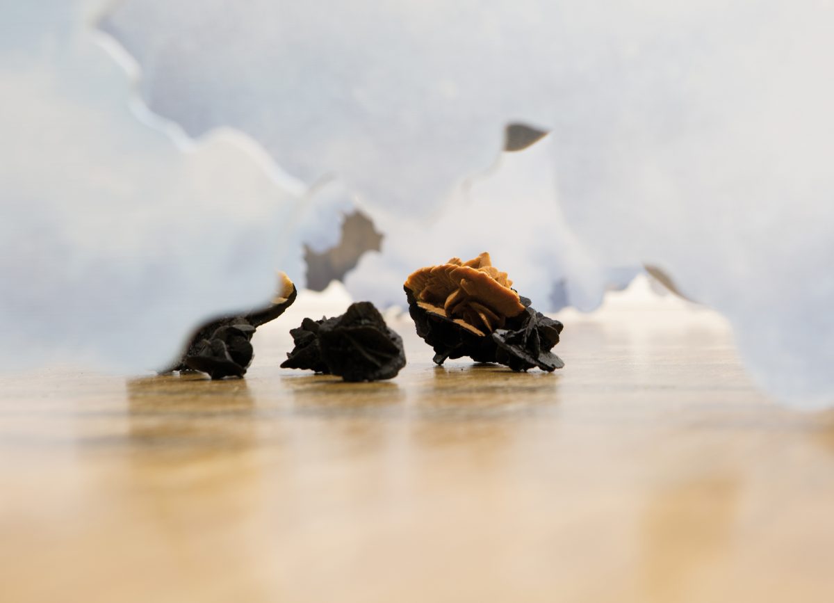 <I>l'air du temps, prix marcel Duchamp 2013</i>, 2014
</br> centre pompidou