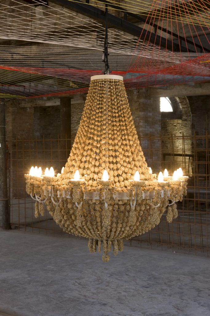 <I>fare mondi</i>, 2009
</br> installation view, 53th Venice Biennale 