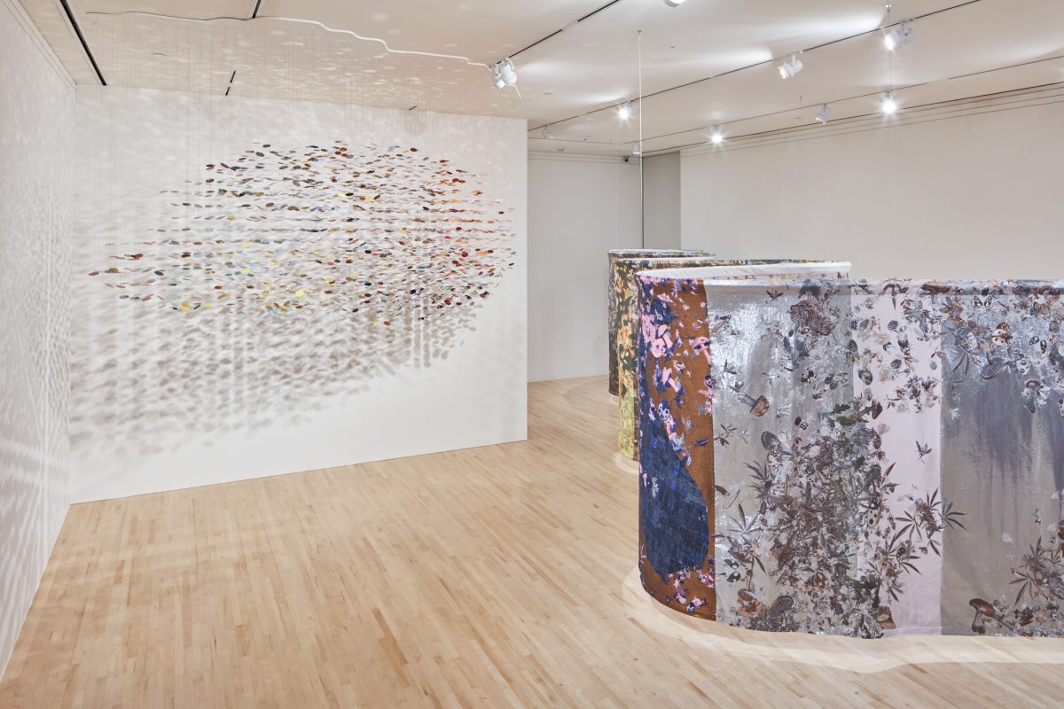 <I>beta space: pae white</i>, 2019
</br> installation view, San José Museum of Art