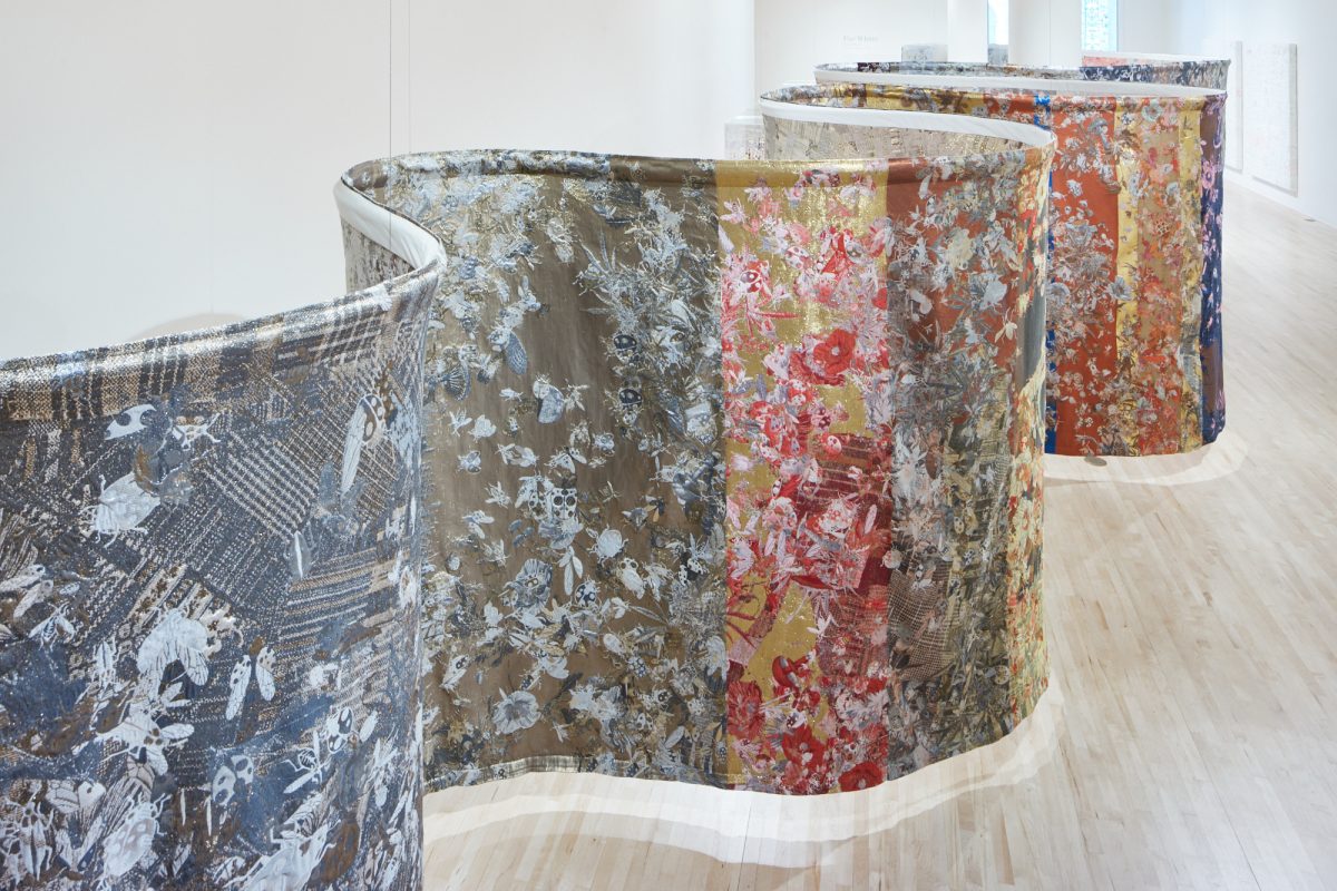 <I>beta space: pae white</i>, 2019
</br> installation view, San José Museum of Art