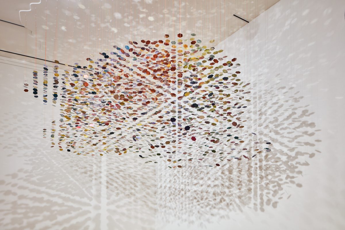 <I>beta space: pae white</i>, 2019
</br> installation view, San José Museum of Art