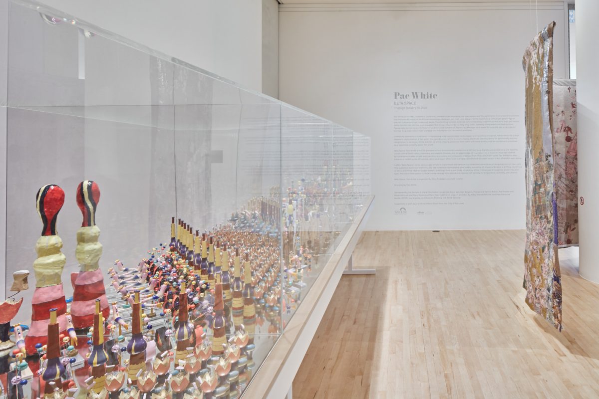 <I>beta space: pae white</i>, 2019
</br> installation view, San José Museum of Art