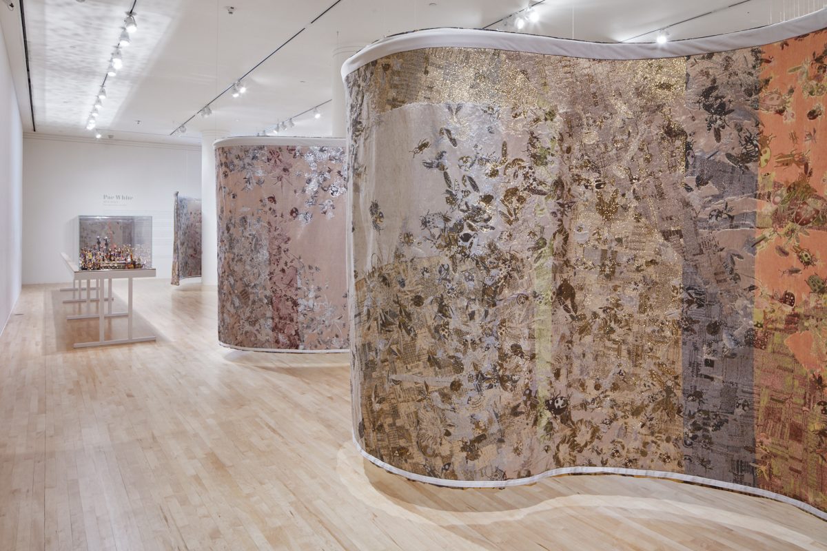 <I>beta space: pae white</i>, 2019
</br> installation view, San José Museum of Art