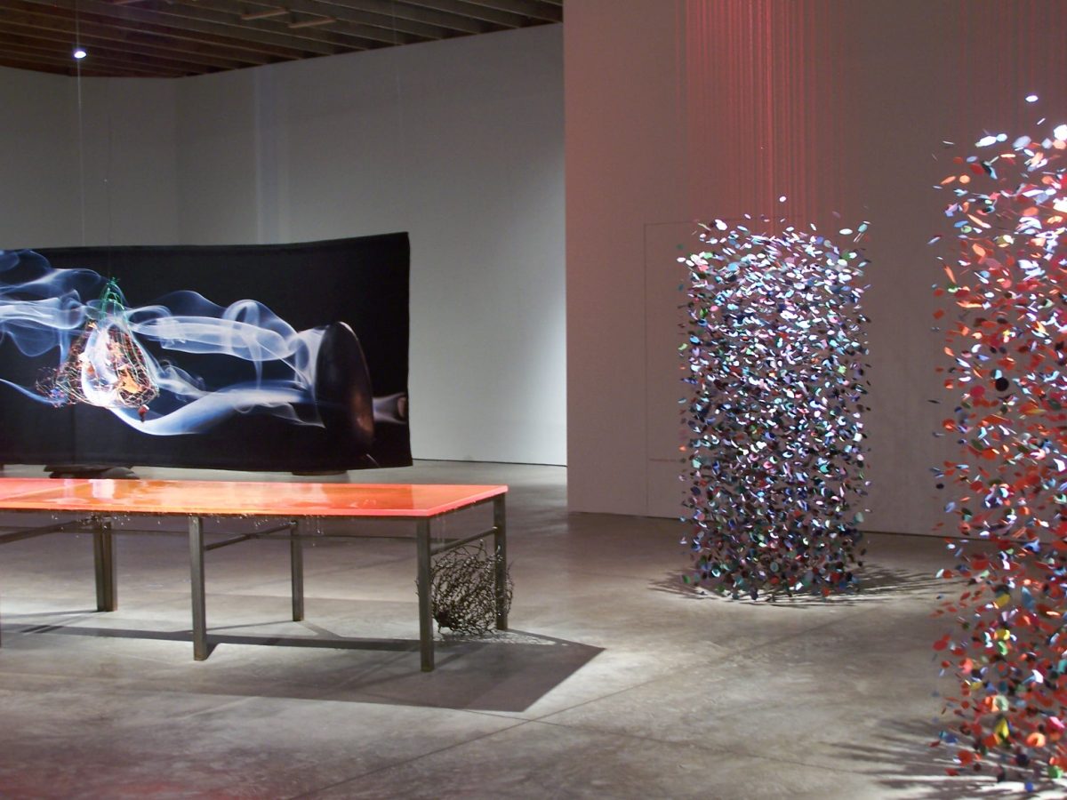 <I>pae white. Lisa, bright & dark</i>, 2008
</br> installation view, Scottsdale Museum of Contemporary Art