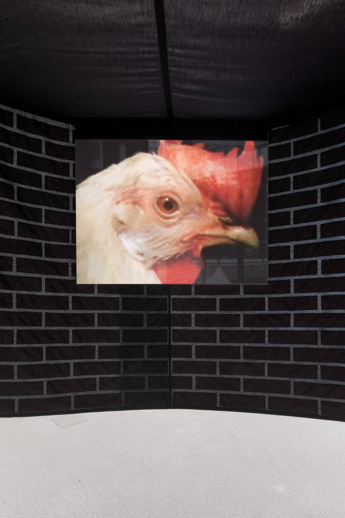 <I>Up!</i>, 2016
</br> installation view, Museion, Bozen