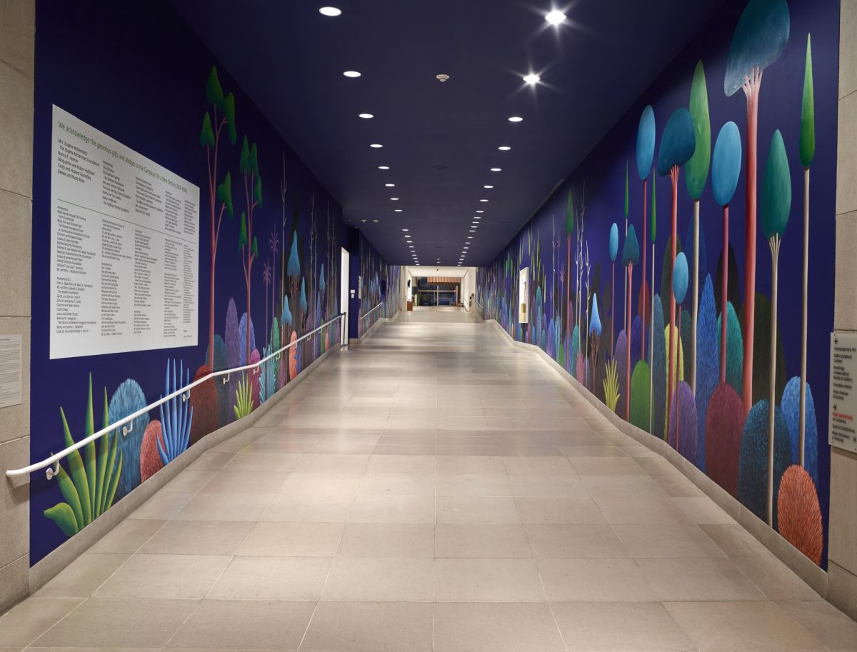 <I>Pathway</i>, 2016
</br> installation view, Dallas Museum of Art