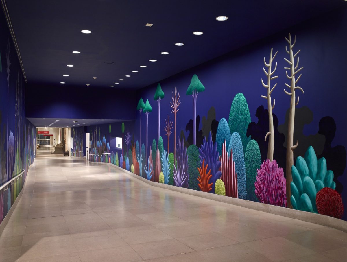 <I>Pathway</i>, 2016
</br> installation view, Dallas Museum of Art