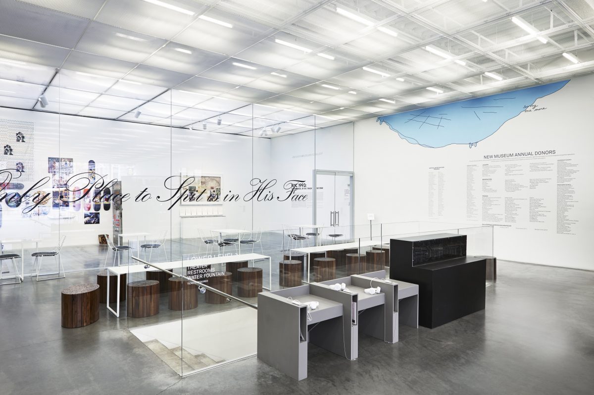 <I>NYC: 1993 - Experimental jet set, Trash and No Star</i>, 2013
</br> installation view, New Museum, New York
