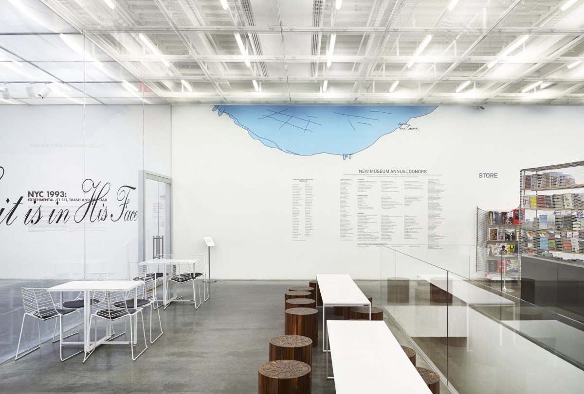 <I>NYC: 1993 - Experimental jet set, Trash and No Star</i>, 2013
</br> installation view, New Museum, New York