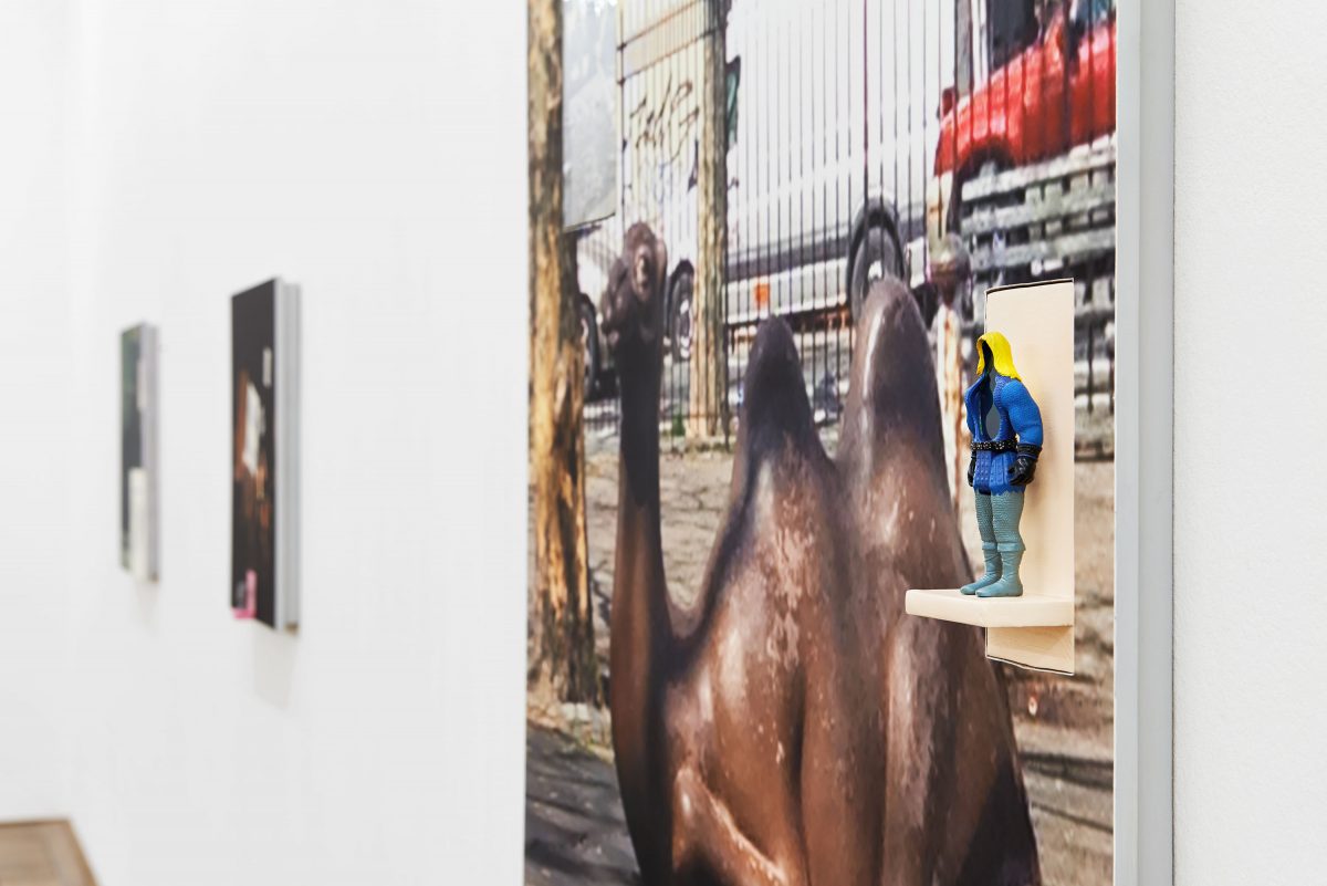 <I>Shared Eye</i>, 2017
</br> installation view, Kunsthalle Basel, Basel