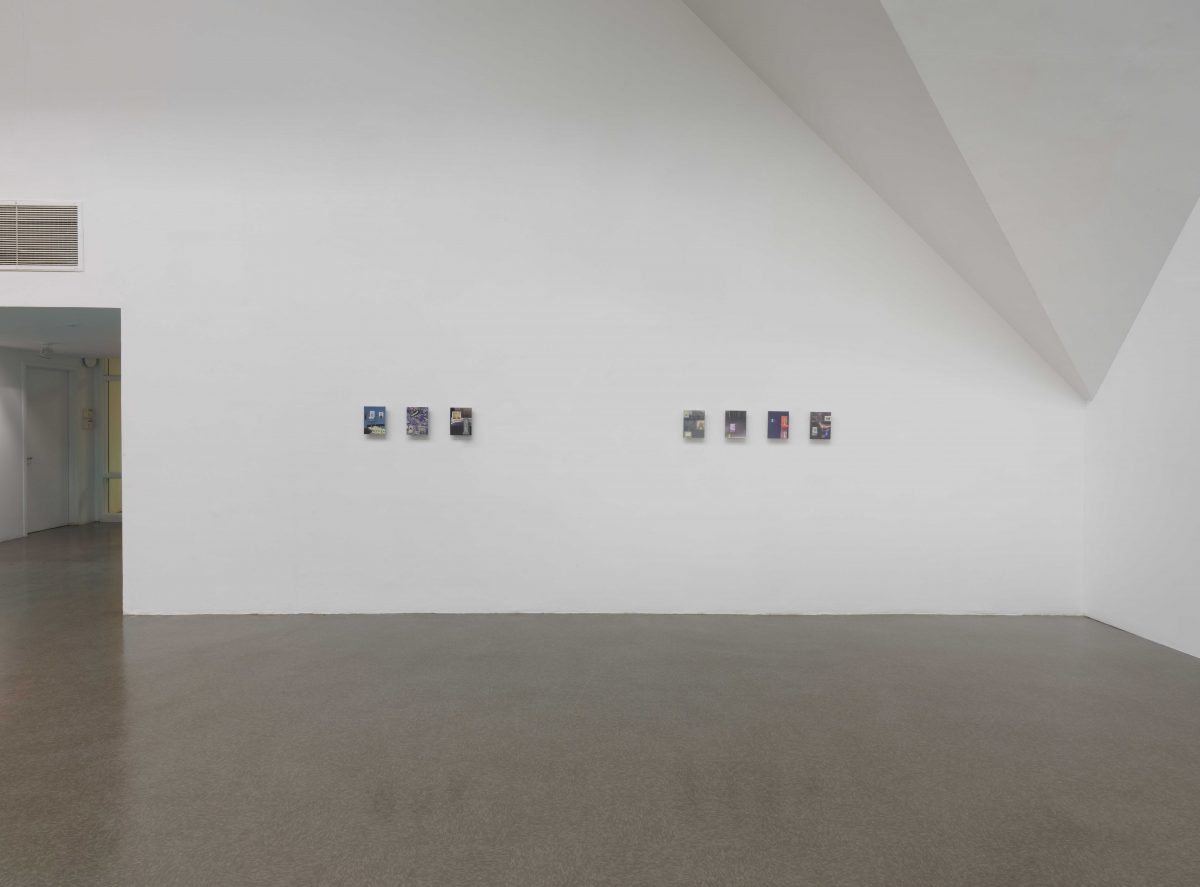 <I>Shared Eye</i>, 2016
</br> installation view, The Renaissance Society, Chicago