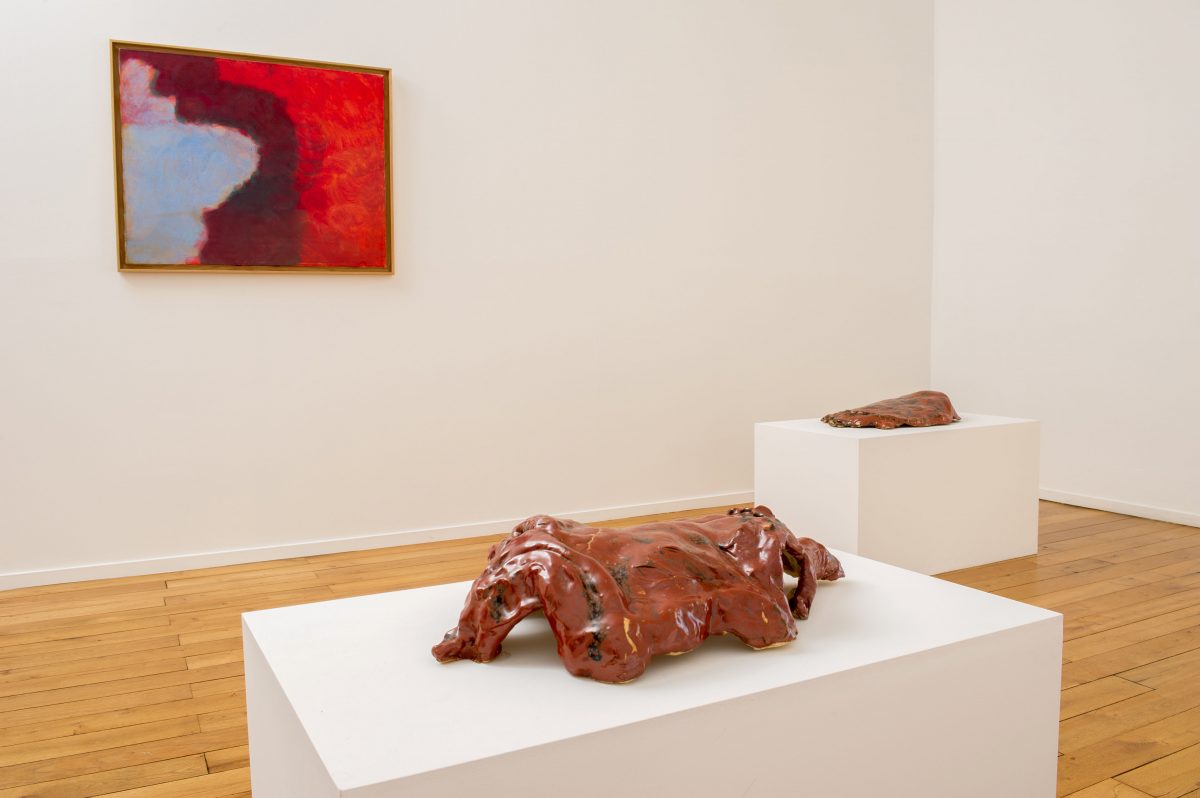 <I>L’homme qui fera pousser un arbre nouveau</i>, 2017
</br> installation view, Musée d'art contemporain de Rochechouart, Rochechouart