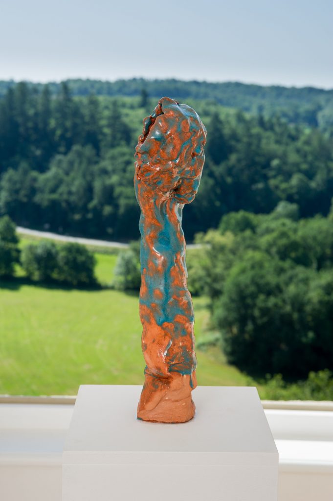 <I>L’homme qui fera pousser un arbre nouveau</i>, 2017
</br> installation view, Musée d'art contemporain de Rochechouart, Rochechouart