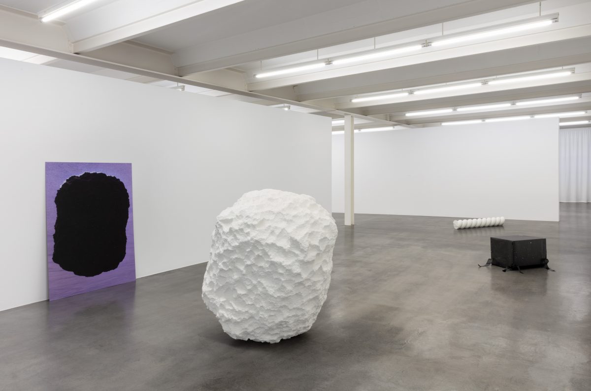<I>When nature was young</i>, 2021
</br> installation view, Kunstmuseum Reutlingen, Reutlingen
