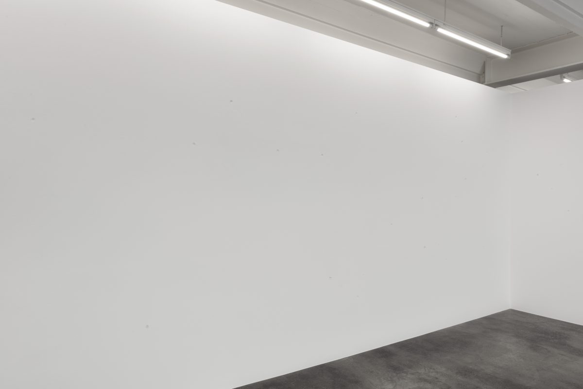<I>When nature was young</i>, 2021
</br> installation view, Kunstmuseum Reutlingen, Reutlingen