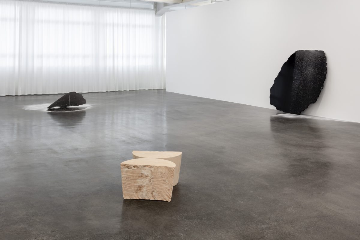 <I>When nature was young</i>, 2021
</br> installation view, Kunstmuseum Reutlingen, Reutlingen