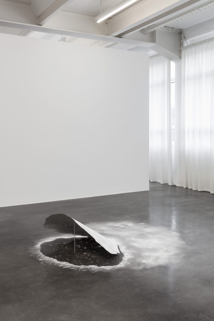 <I>When nature was young</i>, 2021
</br> installation view, Kunstmuseum Reutlingen, Reutlingen