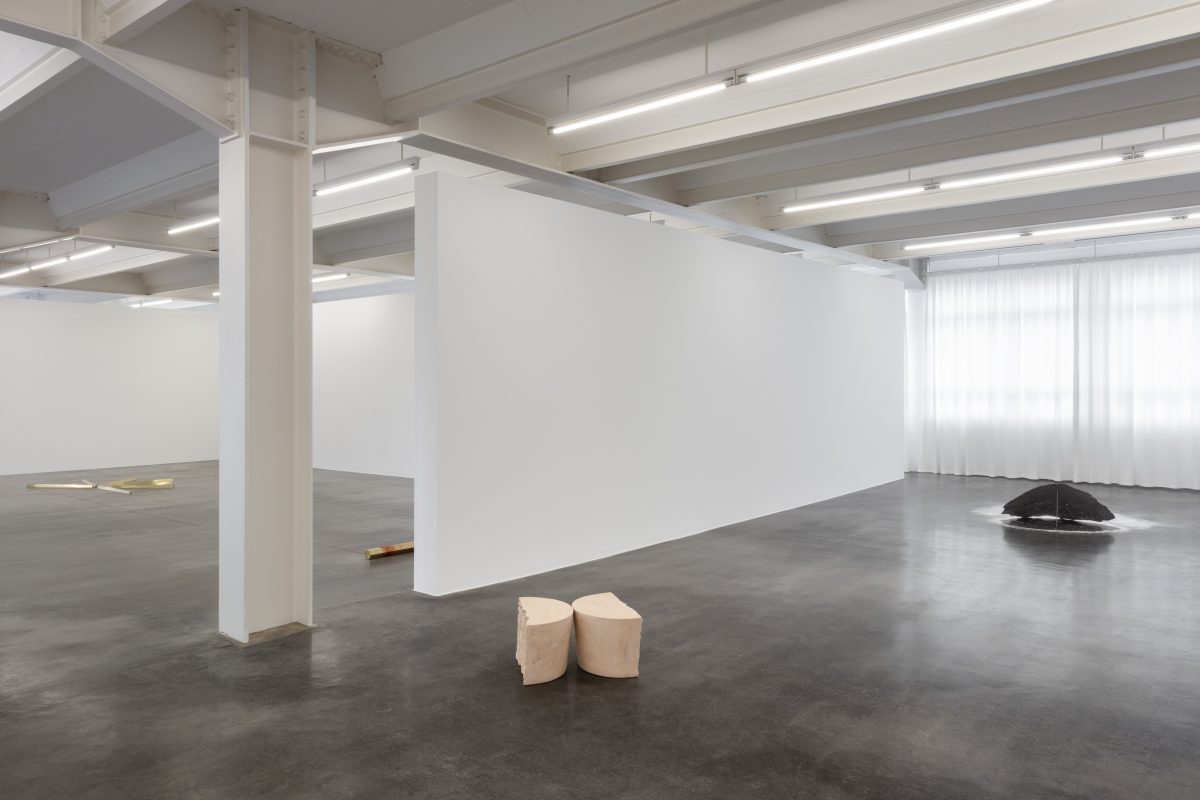 <I>When nature was young</i>, 2021
</br> installation view, Kunstmuseum Reutlingen, Reutlingen