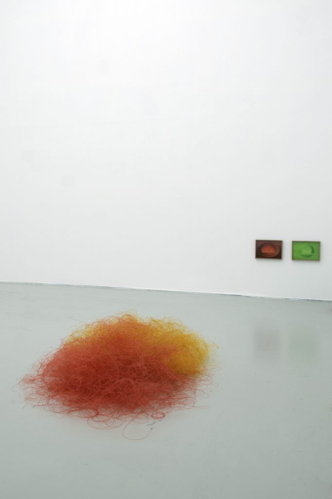 <I>Finalmente Solo/ Enfin Seul</i>, 2014
</br> installation view, Musée d'art Moderne et Contemporain, Saint-étienne Métropole