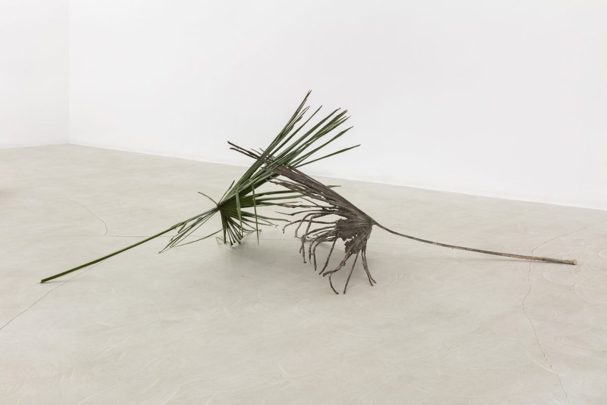 <i>Il tempo mi scorre tra le dita</br>
[Time runs through my fingers]</I>, 2021
</br>
bronze, palm leaf
</br>
66 x 186 x 109 cm / 25.9 x 73.2 x 42.9 in