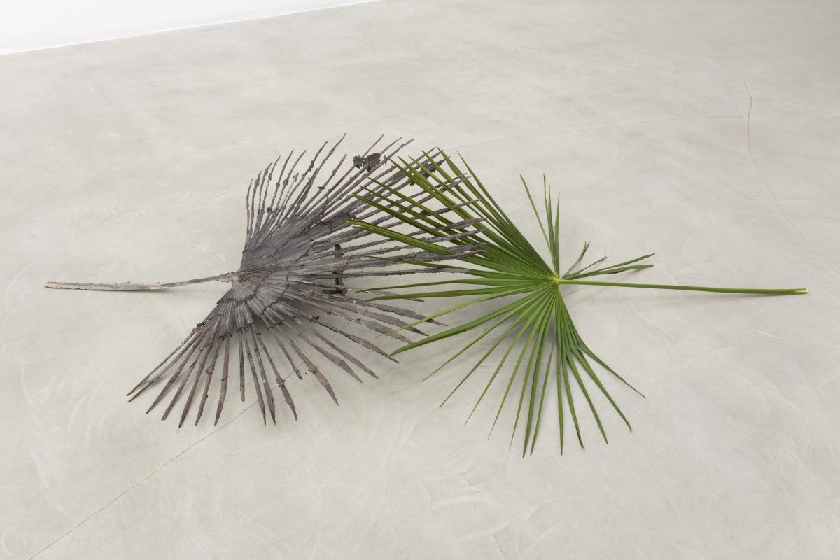 <i>Il tempo mi scorre tra le dita</br>
[Time runs through my fingers]</I>, 2021
</br>
bronze, palm leaf
</br>
35,5 x 197 x 97 cm / 13.9 x 77.5 x 38.1 in