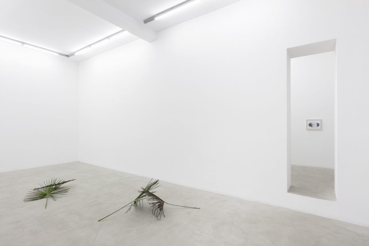 <i>Il sole che filtra tra le foglie</br> [The Sun filtering through the leaves]</i>, 2022
</br> installation view, kaufmann repetto Milan