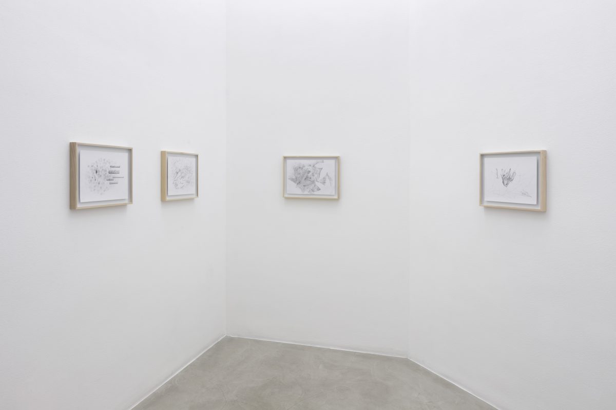 <i>Il sole che filtra tra le foglie</br> [The Sun filtering through the leaves]</i>, 2022
</br> installation view, kaufmann repetto Milan