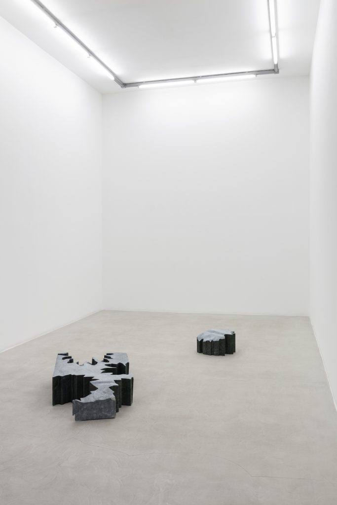 <i>Il sole che filtra tra le foglie</br> [The Sun filtering through the leaves]</i>, 2022
</br> installation view, kaufmann repetto Milan