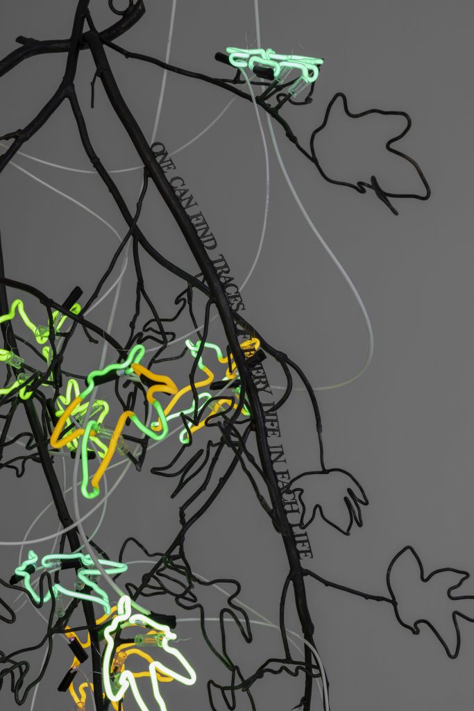 <i>Chandeliers of Interconnectedness </br>(ONE CAN FIND
TRACES OF EVERY LIFE IN EACH LIFE;  </br>quote by Susan
Griffin)</i>, 2022 </br>
(detail)