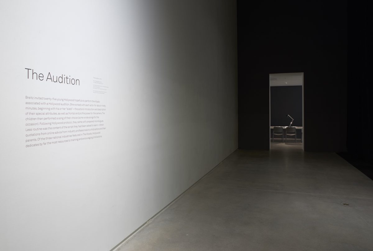 <i>The Woods</i>, 2014
</br> Blaffer Art Museum, Houston