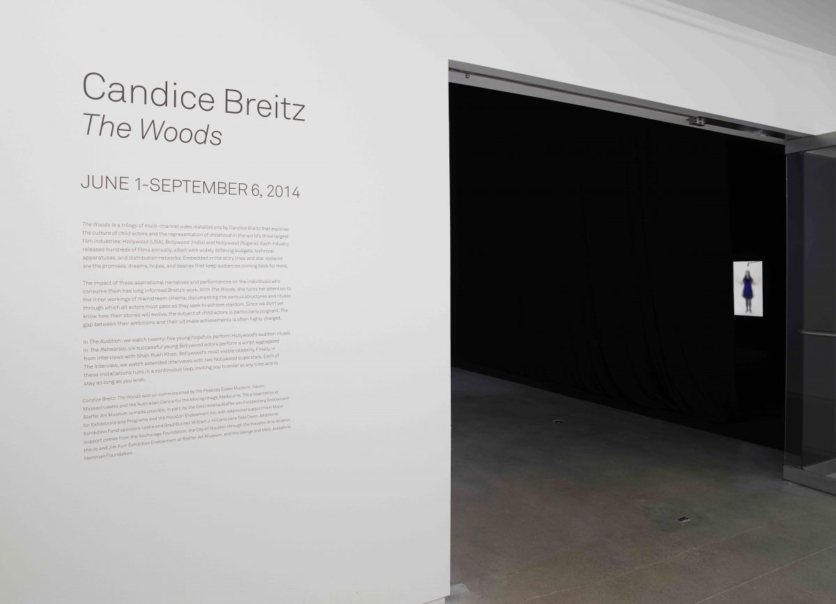 <i>The Woods</i>, 2014
</br> Blaffer Art Museum, Houston