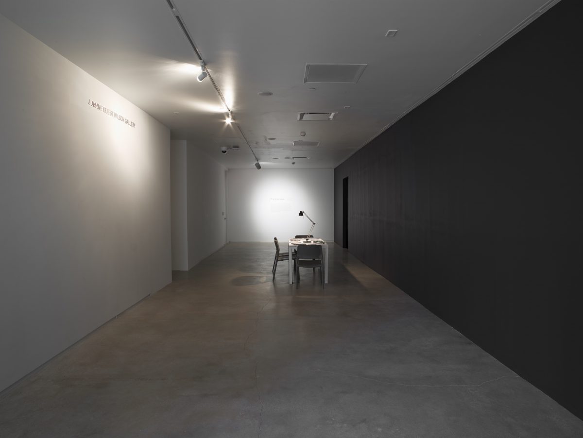 <i>The Woods</i>, 2014
</br> Blaffer Art Museum, Houston