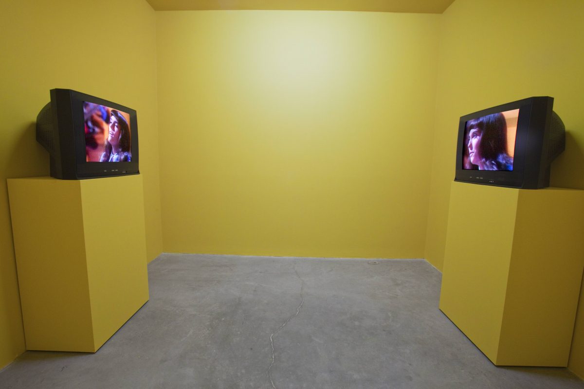 <i>Same Same</i>, 2009
</br> installation view, The Power Plant, Toronto