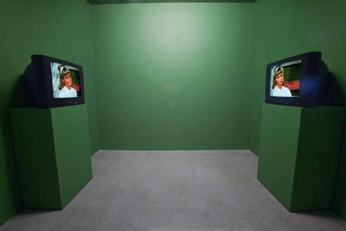 <i>Same Same</i>, 2009
</br> installation view, The Power Plant, Toronto