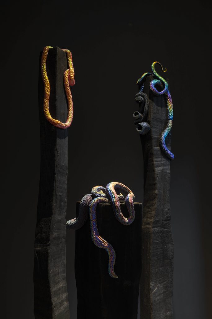 <i>attractive nuisance</i>, 2022
</br> installation view, kaufmann repetto Milan