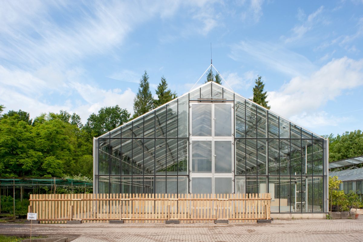 <i>dOCUMENTA (13)</i>, 2012
</br> installation view, dOCUMENTA (13), Kassel 