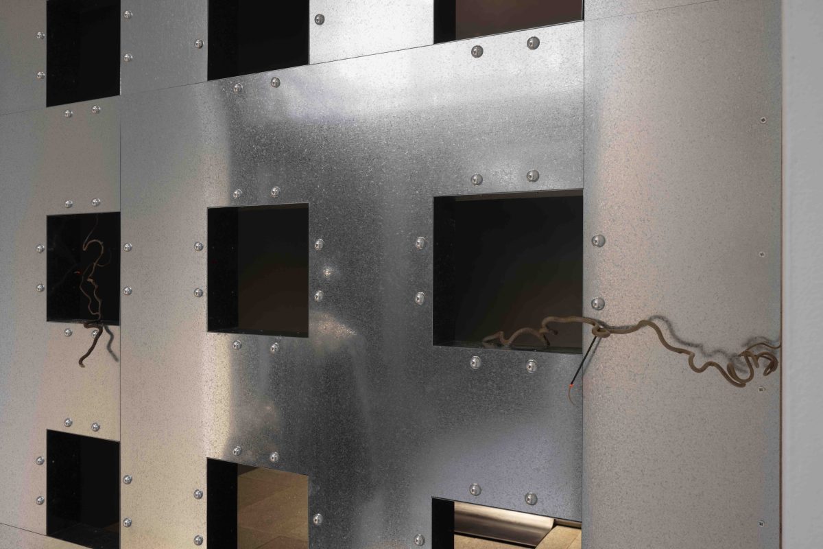 <i>Anthea Hamilton, Cold, Cold Heart</i>, 2022
</br> installation view, kaufmann repetto, Milan