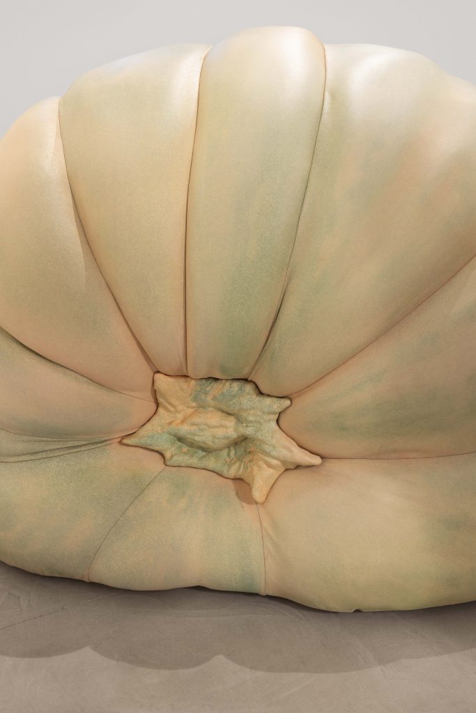 <I>Giant Pumpkin No.3</i>, 2022
</br>(detail)</br>