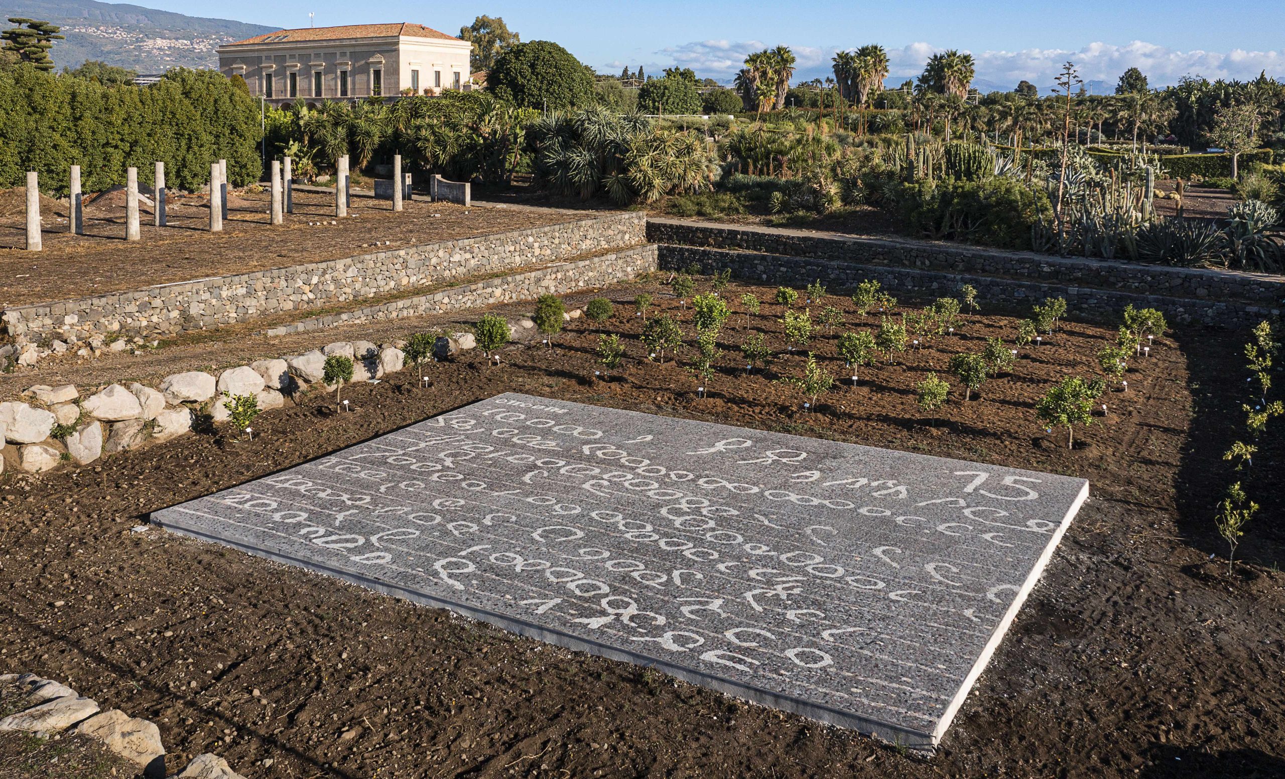 Compito #1, 2022 installation view, Fondazione Radicepura,