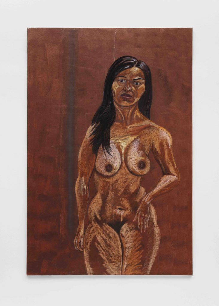 <i>Rojo India (Indian Red)</i>, 2011</br>mixed media on canvas</br>
120 x 180 cm / 47.2 x 70.9 in