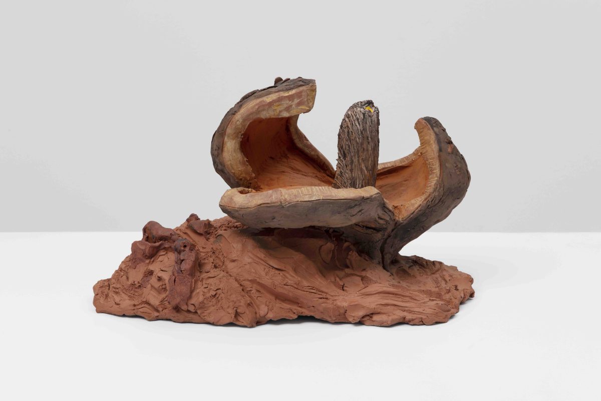 <i>Cascara (Husk)</i>, 2022</br>ceramic</br>
37 x 22 x 23 cm / 14.6 x 8.7 x 9 in