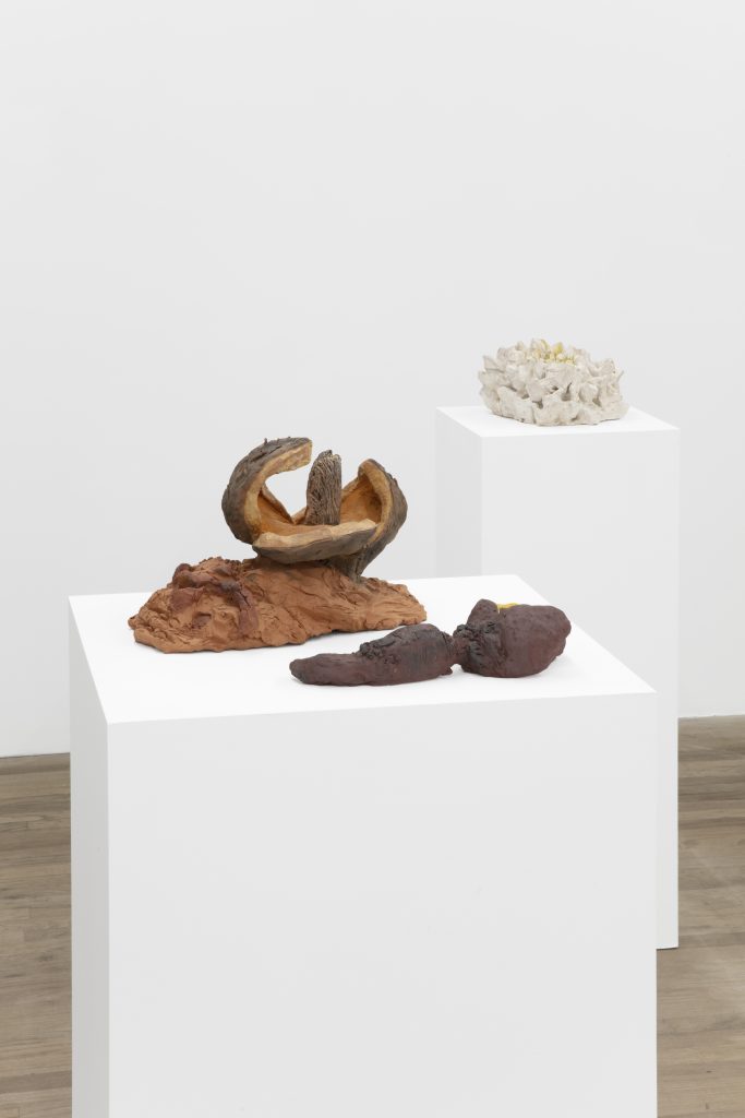 <i>Husks</i>, 2022 </br> installation view, kaufmann repetto, new york