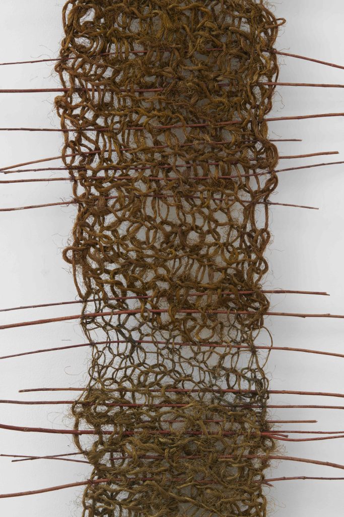 Barbara Levittoux-Swiderska, <i>Millipede (Stonoga)</i>, 1974</br>detail</br>
