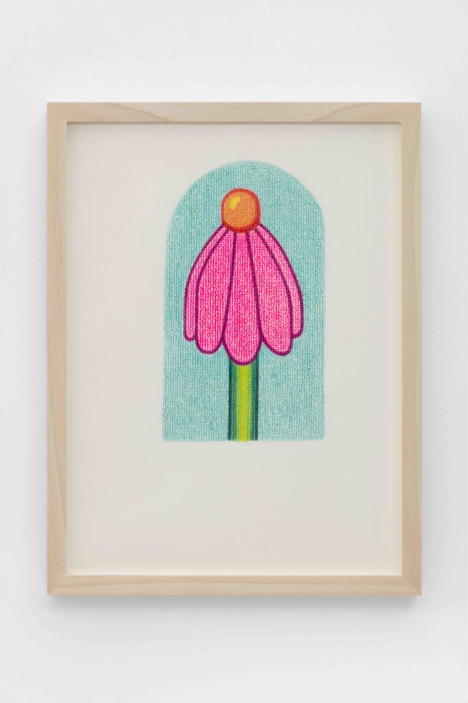 Dianna Molzan, <i>Echinacea</i>, 2023 </br> colored pencil on paper
</br> 30 x 21 cm / 11.75 x 8.25 in>
